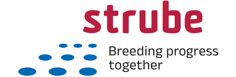 Strube D&S GmbH