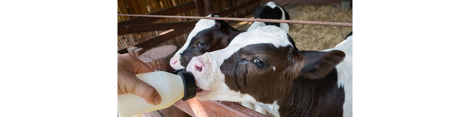 Unicorn Grain Specialties GmbH Unicorn Grain Specialties GmbH cover