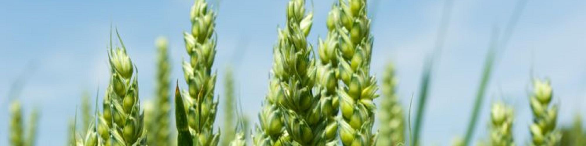 AgroConcept GmbH cover