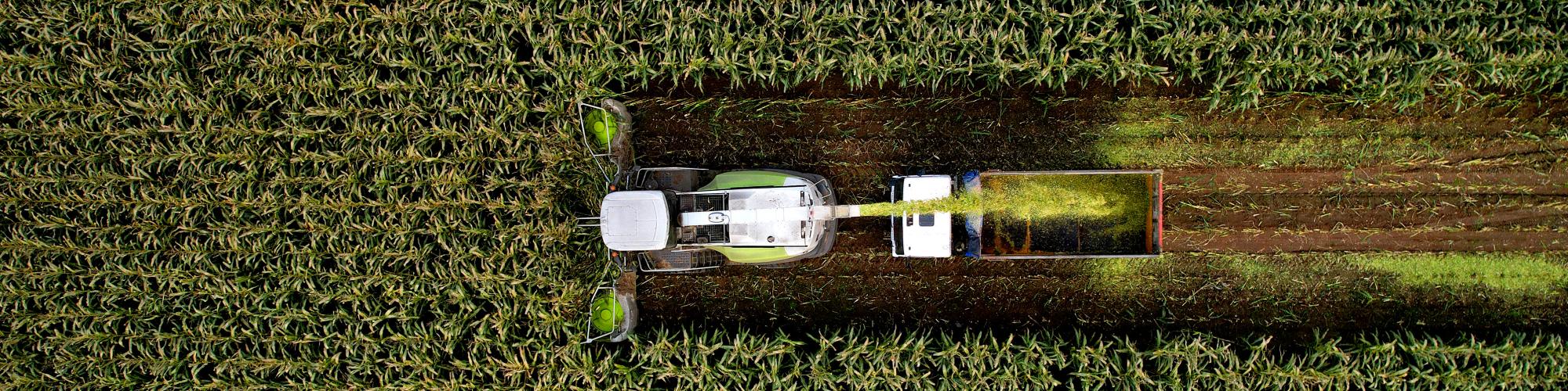 farmsaat AG farmsaat AG cover