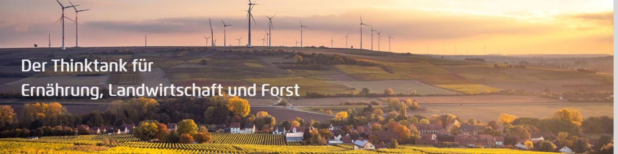 Agora Agrar - SEFEP gGmbH Agora Agrar - SEFEP gGmbH cover