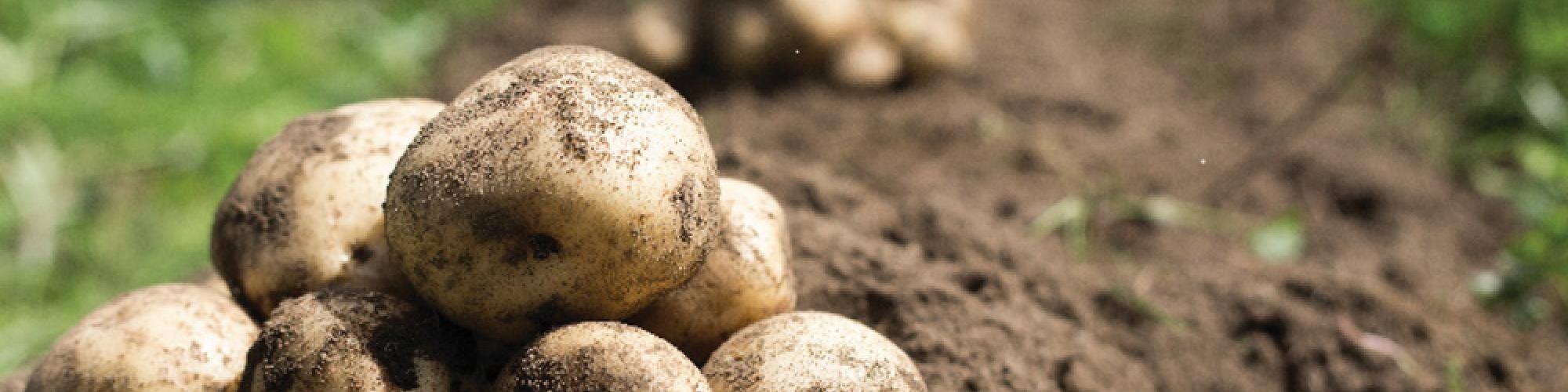 CERTIS BELCHIM B.V. Niederlassung Deutschland cover