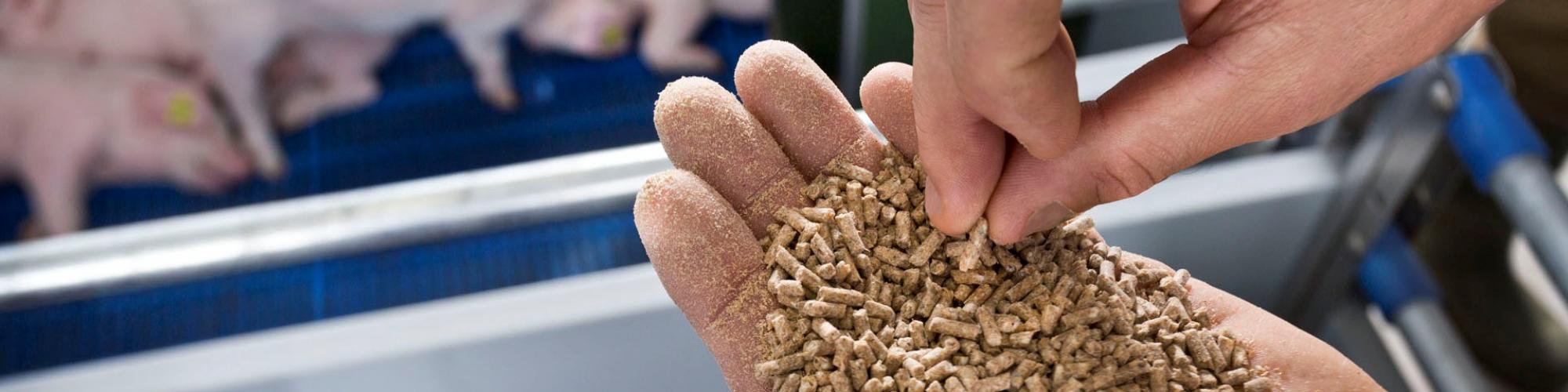 Milkivit Milkivit cover