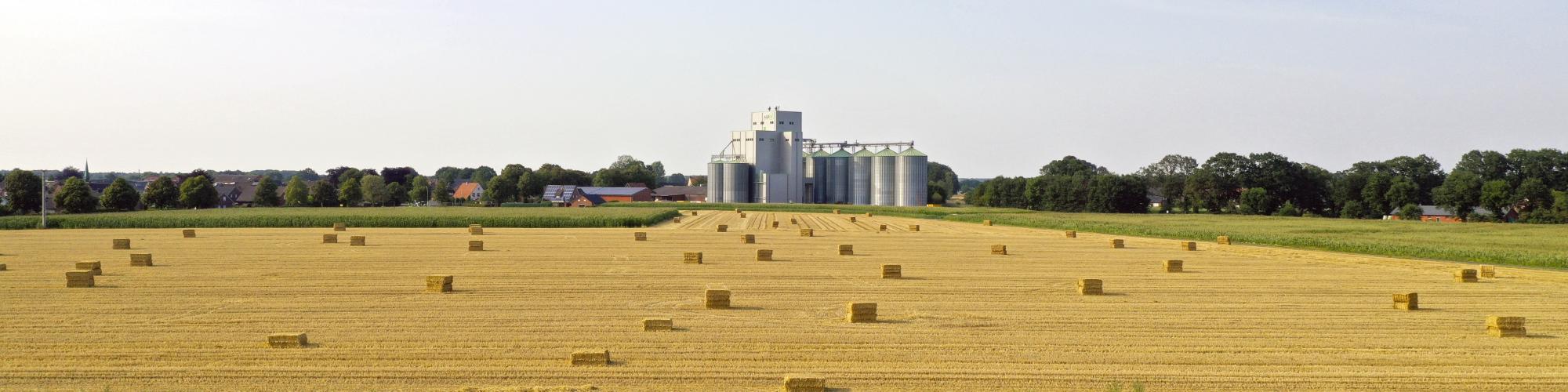 Agri V Raiffeisen eG