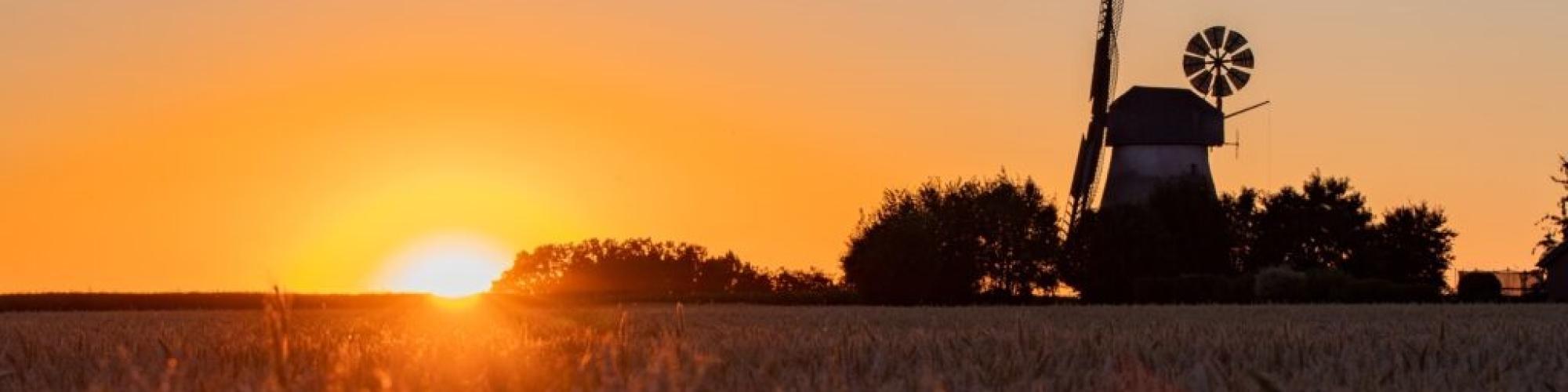 Cerealis Getreideerzeugungs-und-absatz GmbH & Co. KG Cerealis Getreideerzeugungs-und-absatz GmbH & Co. KG cover