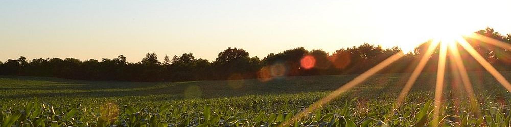 Cargill Holding (Germany) GmbH cover