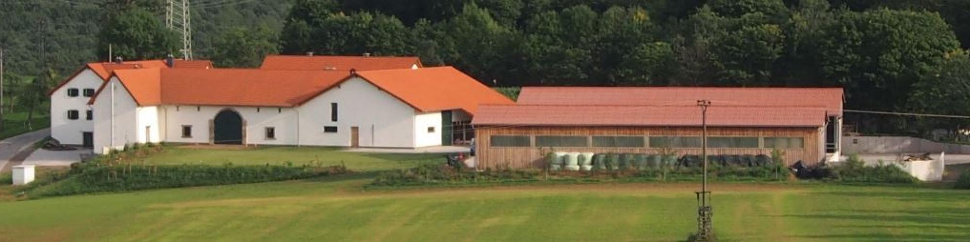 Hofgut Dösterhof Land- und Forstwirtschaft cover