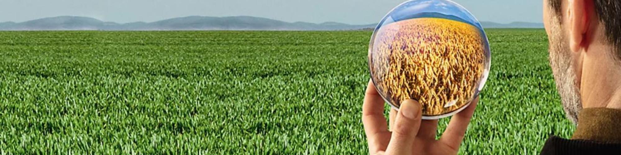 Corteva agriscience Germany GmbH cover