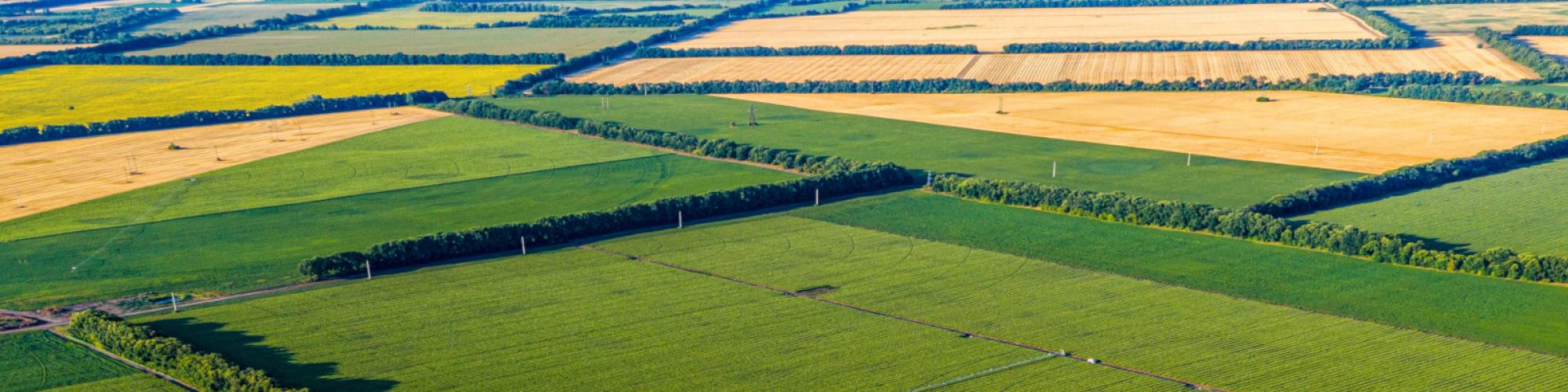 AGRI-associates GmbH cover