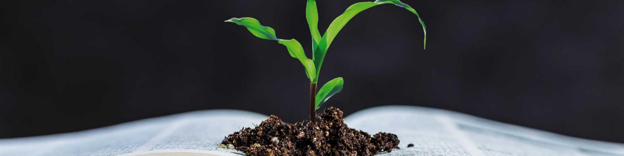 Burg Warberg e.V. Burg Warberg e.V. cover