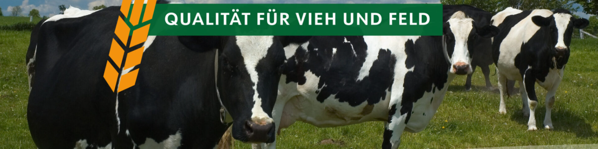 AWE Agrarhandel Weser-Ems GmbH & Co. KG AWE Agrarhandel Weser-Ems GmbH & Co. KG cover