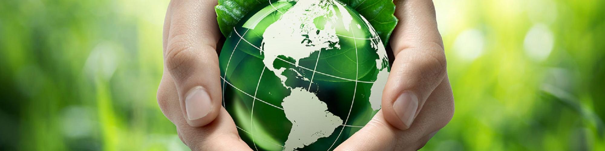 granaagro Deutschland GmbH granaagro Deutschland GmbH cover