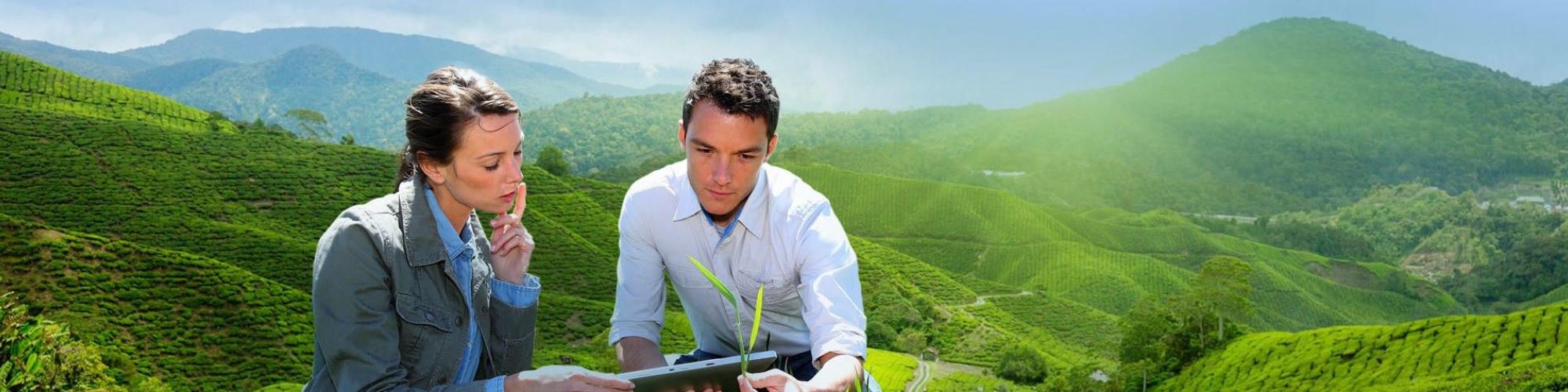 Kynetec Kynetec cover