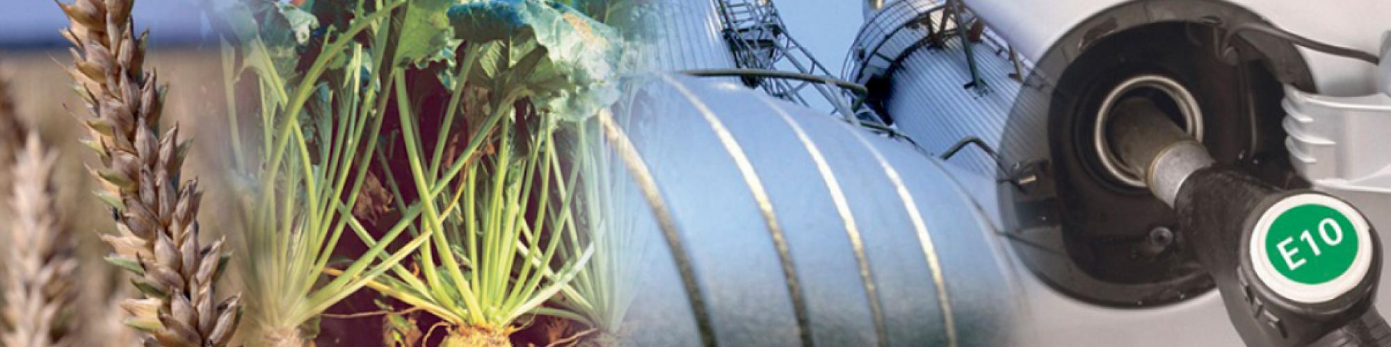 CropEnergies AG CropEnergies AG cover