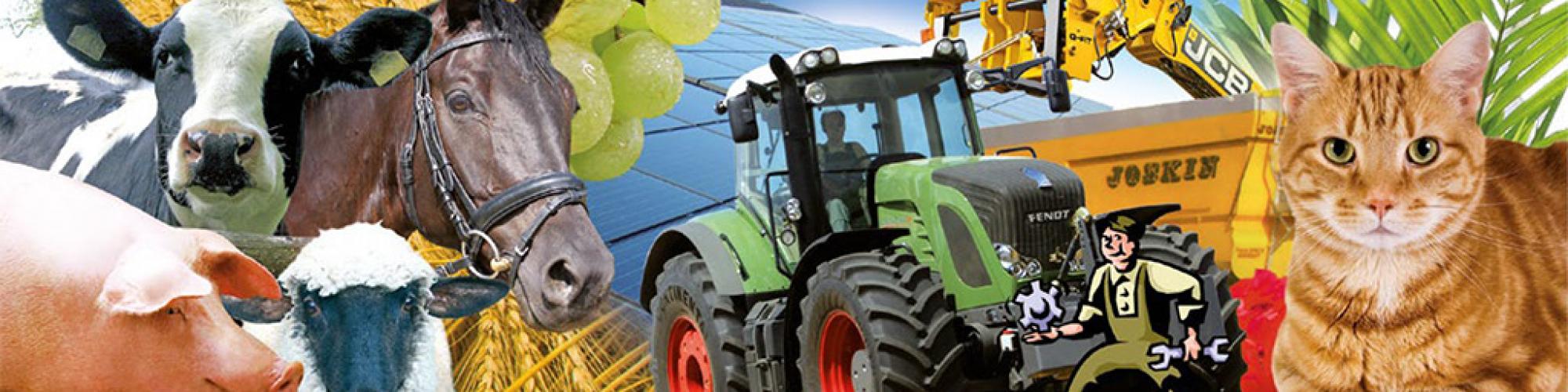 De Verband Group Agrobrain