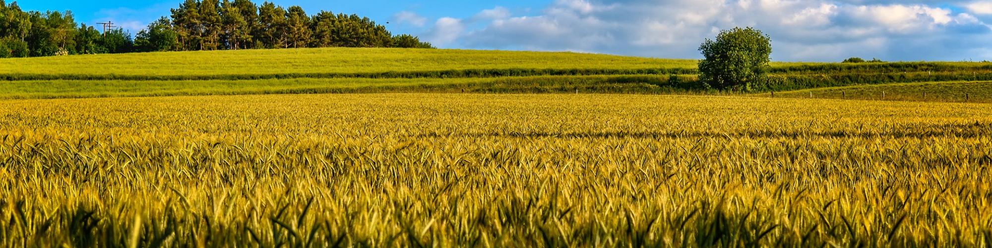 EP Resources DE GmbH EP Resources DE GmbH cover