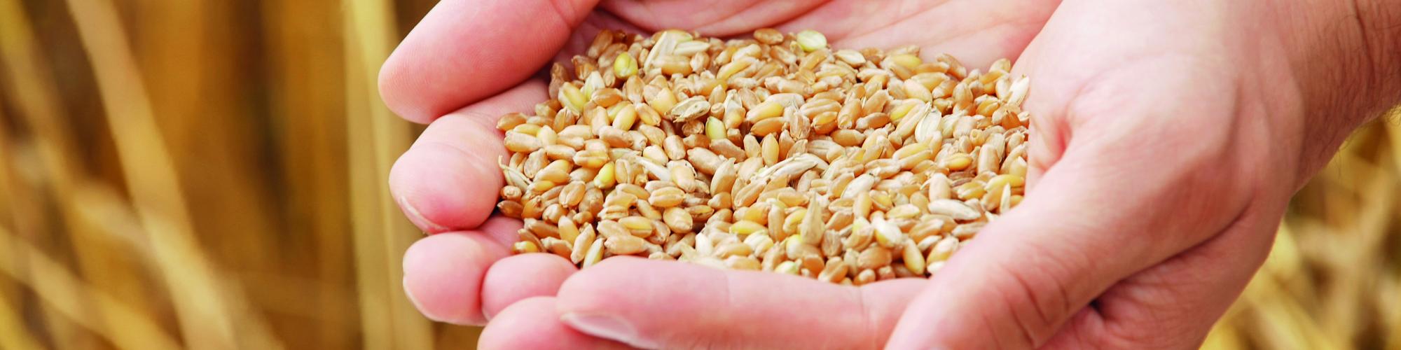 Weissachmühle cover