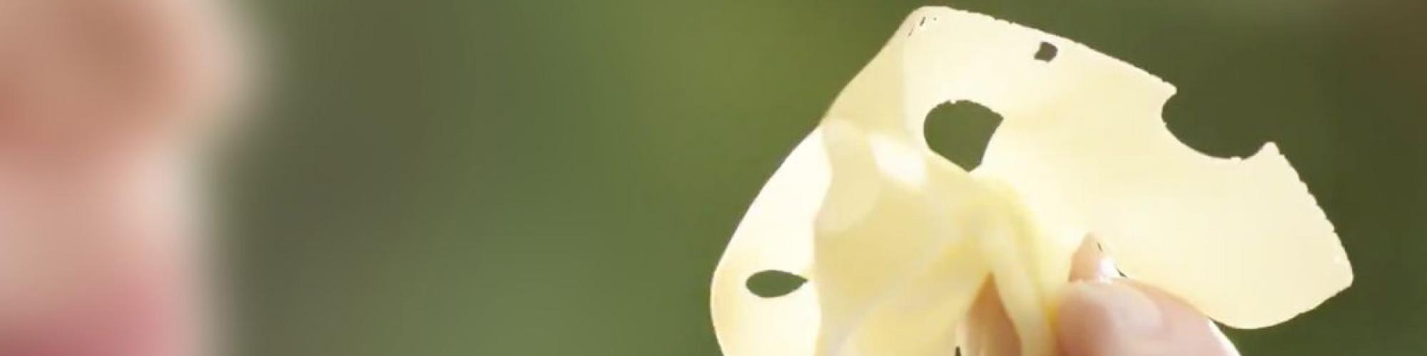 GOLDSTEIG Käsereien Bayerwald GmbH cover