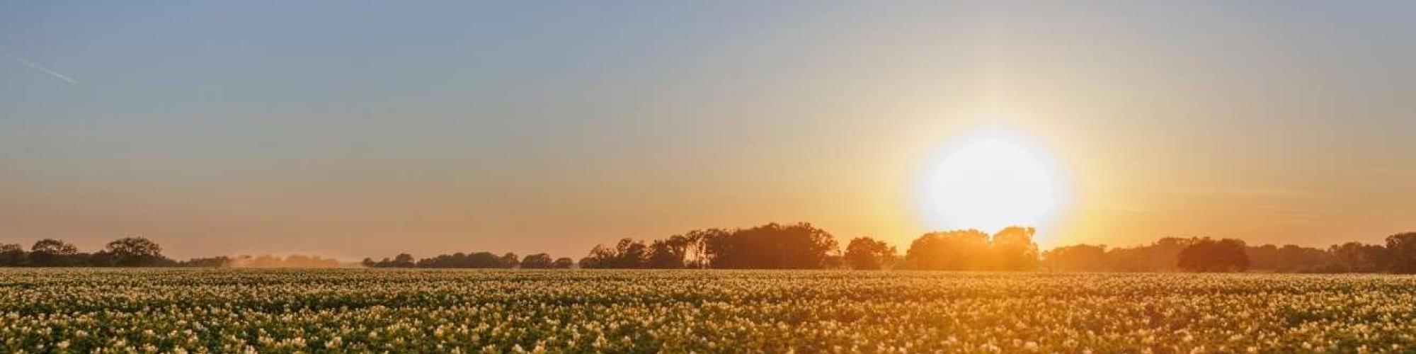 Emsland Group