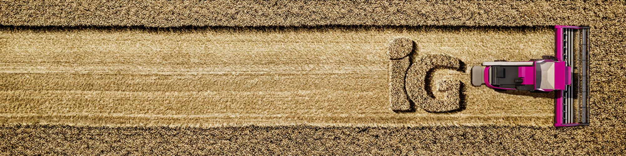 I.G. Pflanzenzucht GmbH cover