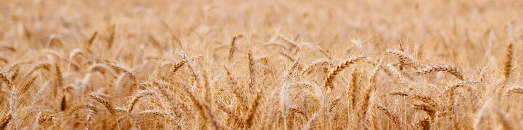 MOSER Agrar & Baufachzentrum GmbH & Co. KG MOSER Agrar & Baufachzentrum GmbH & Co. KG cover