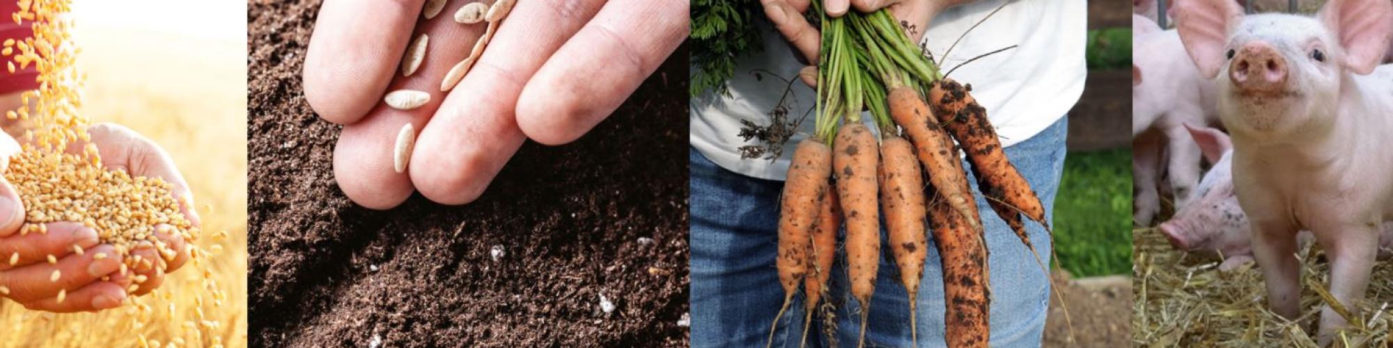 Marktgesellschaft der Naturland Bauern AG cover