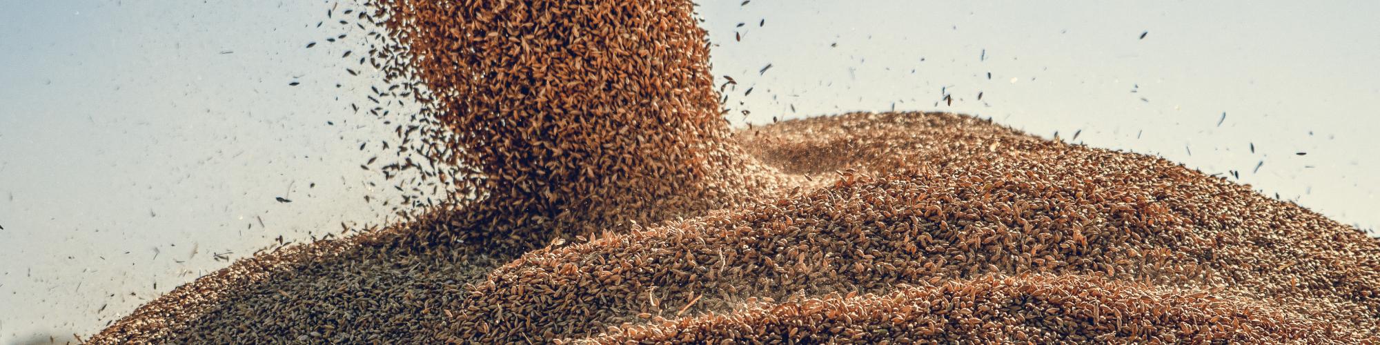 Malteurop Deutschland Malteurop Deutschland cover