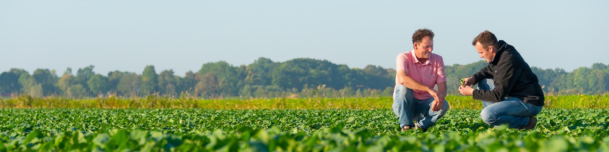 Raiffeisen Weser-Elbe eG cover