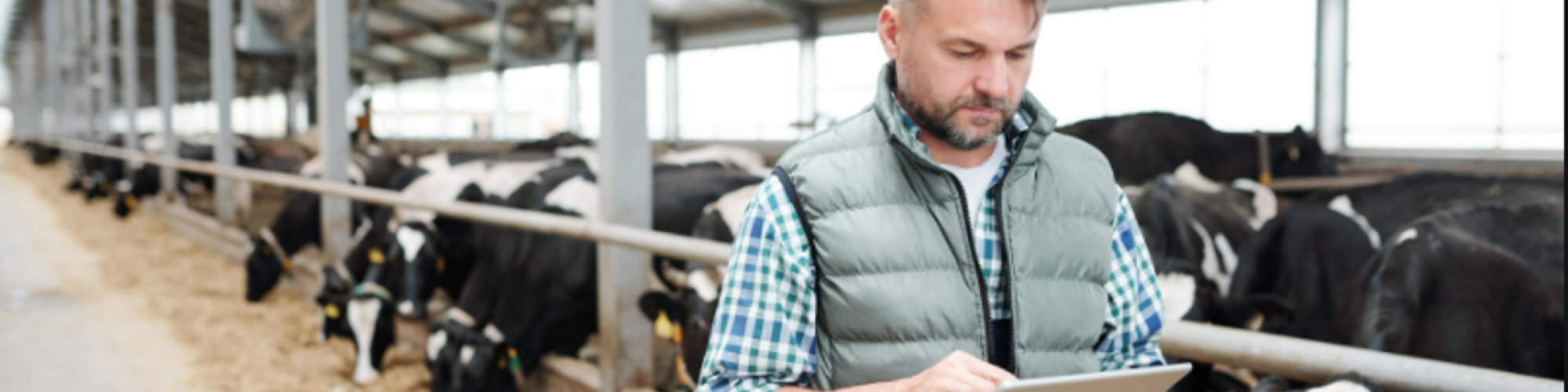 SALVANA TIERNAHRUNG GmbH cover