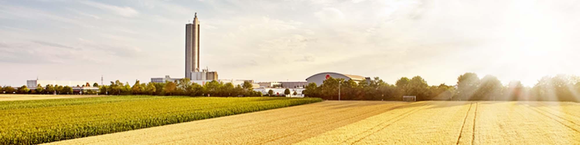 SchapfenMühle GmbH &amp; Co. KG cover