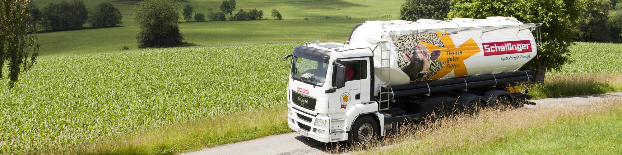 Schellinger KG Schellinger KG cover