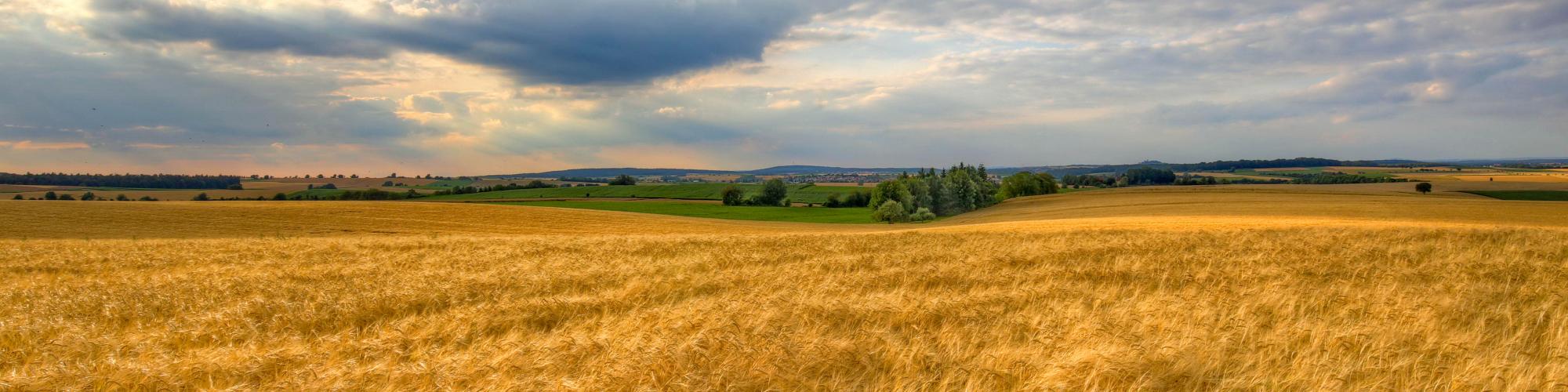AGROA Raiffeisen eG