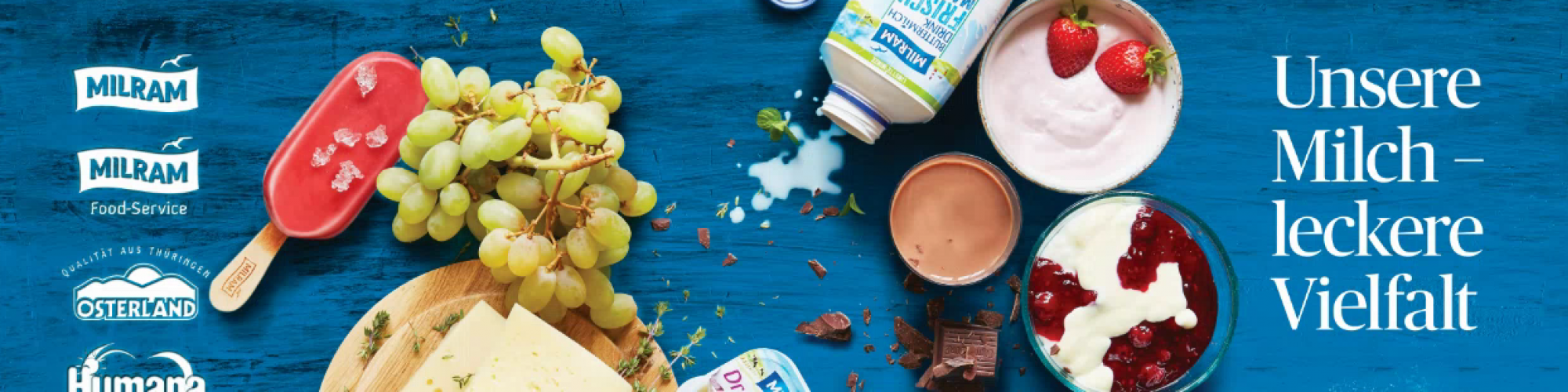 DMK Deutsches Milchkontor GmbH DMK Deutsches Milchkontor GmbH cover