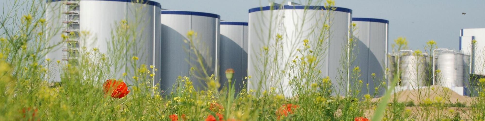 VERBIO Vereinigte BioEnergie AG VERBIO Vereinigte BioEnergie AG cover