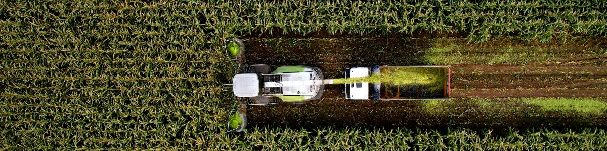 farmsaat AG cover