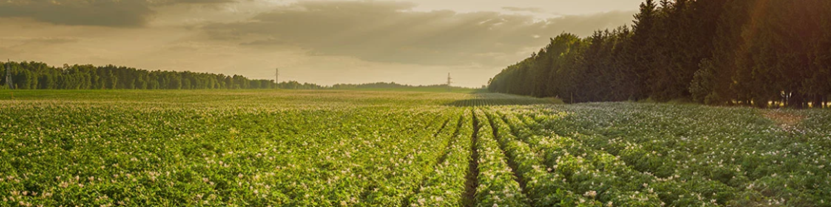 Kwizda Agro GmbH cover