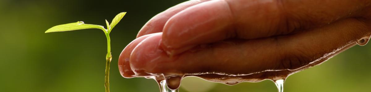 TIMAC Agro Deutschland GmbH cover