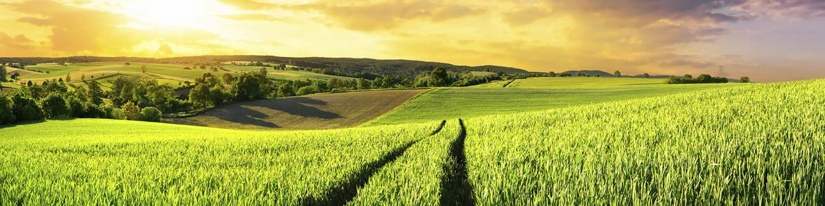 Raiffeisen Vital eG cover