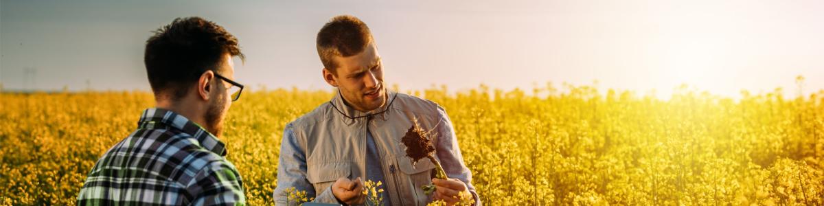 SAATEN-UNION GmbH SAATEN-UNION GmbH cover