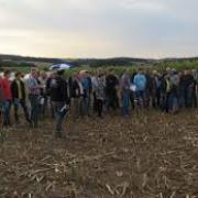 Agromais Treffpunkt Mais