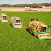 BuirBliesheimer Agrargenossenschaft eG Agrobrain