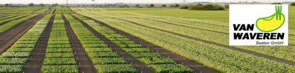 van Waveren Saaten GmbH cover image