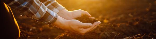 Dehner Agrar GmbH & Co. KG Dehner Agrar GmbH & Co. KG cover image