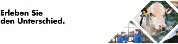 World Wide Sires Deutschland cover image