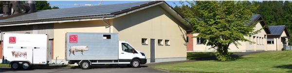 Suisag Suisag cover image