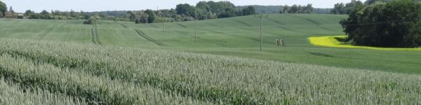 LMS Agrarberatung GmbH LMS Agrarberatung GmbH cover image