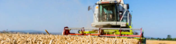 Raiffeisen Centralheide eG cover image