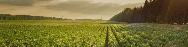 Kwizda Agro GmbH cover image