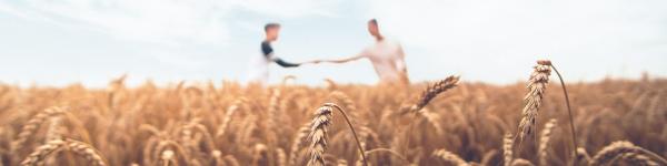 agrimand GmbH cover image