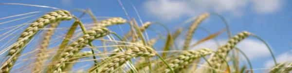 Backmann &amp; Domröse Unternehmensberatung - Partnerschaft cover image